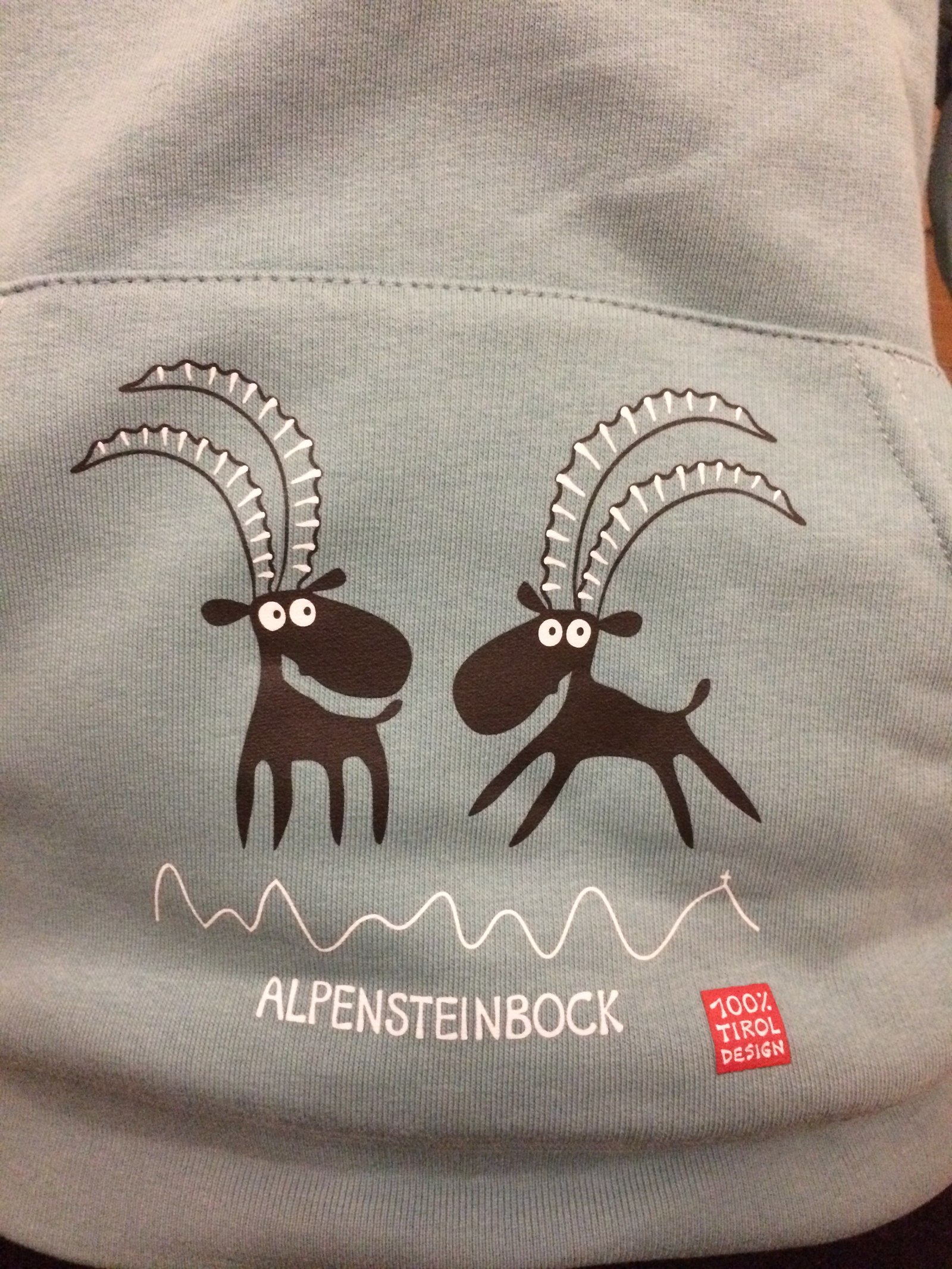 Kinder Hoody "Alpensteinbock"