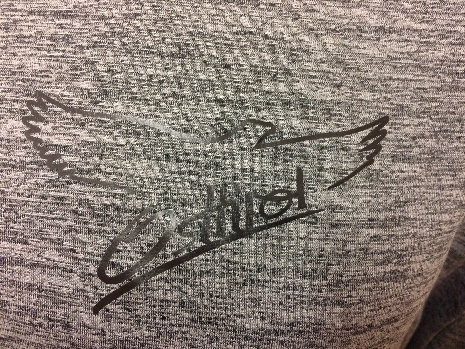 Herren Funktionsshirt Adler "Alvier" grau melange